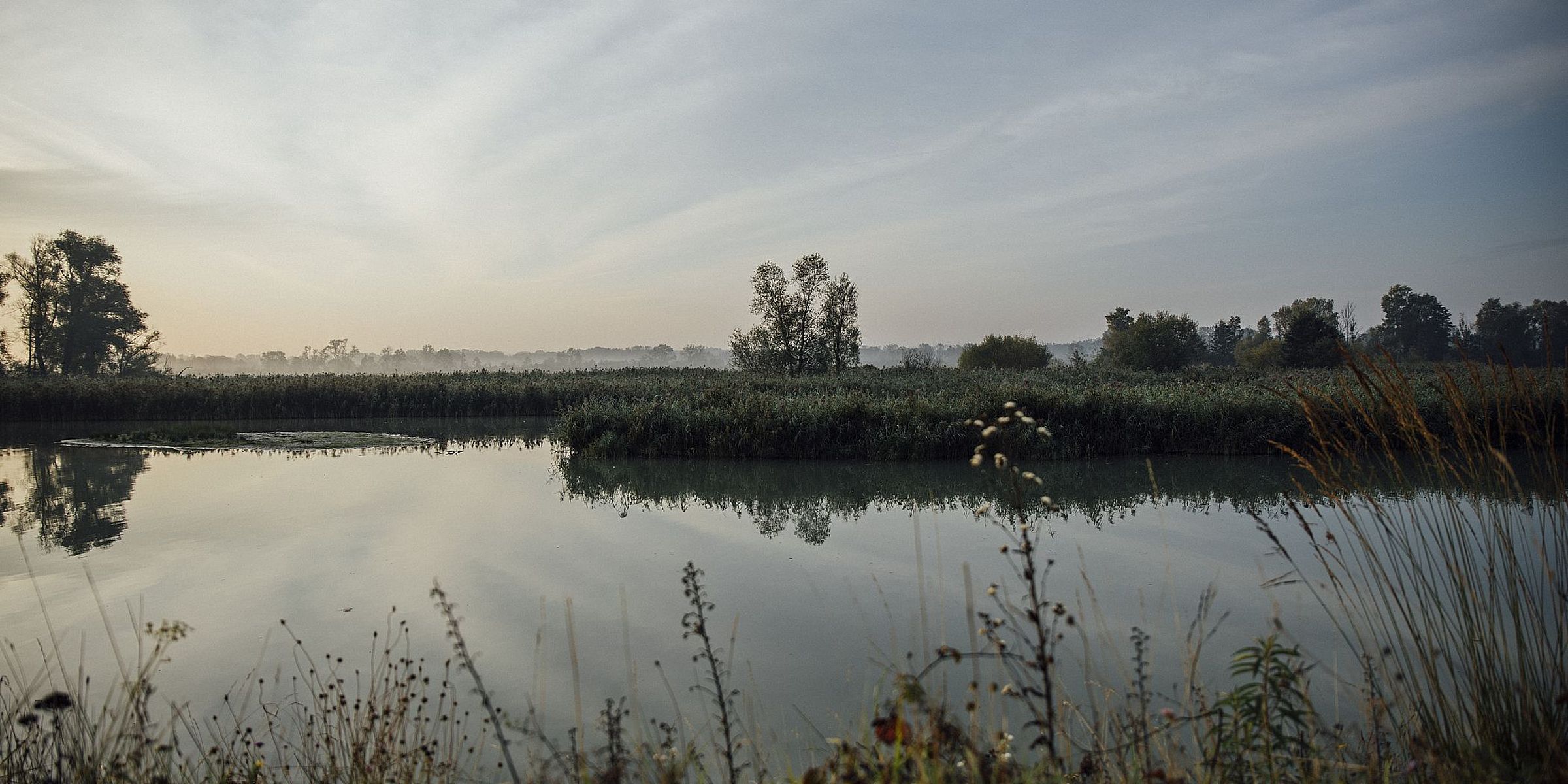 Natura in estate