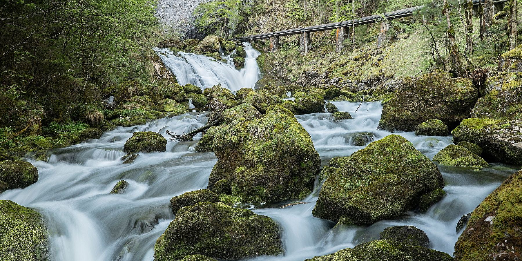 Cascata