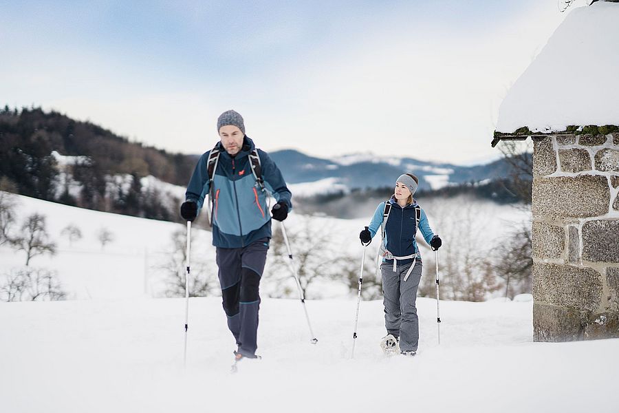 Le nostre offerte per le vacanze estive o invernali in Austria