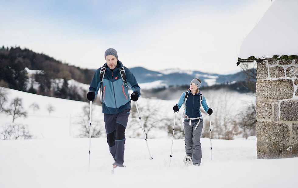 Le nostre offerte per le vacanze estive o invernali in Austria