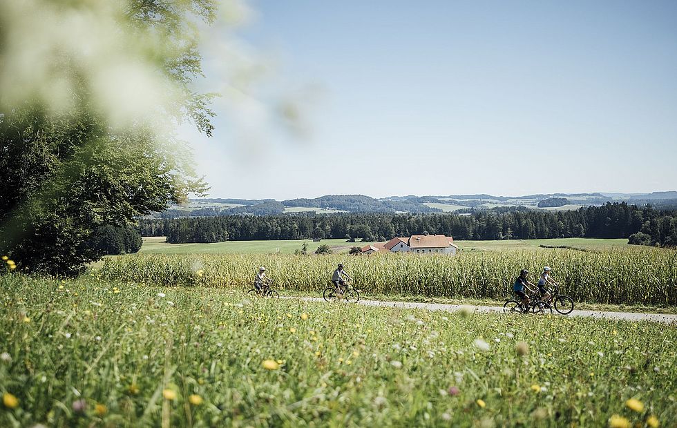 Alta Austria la meta degli appassionati di ciclismo